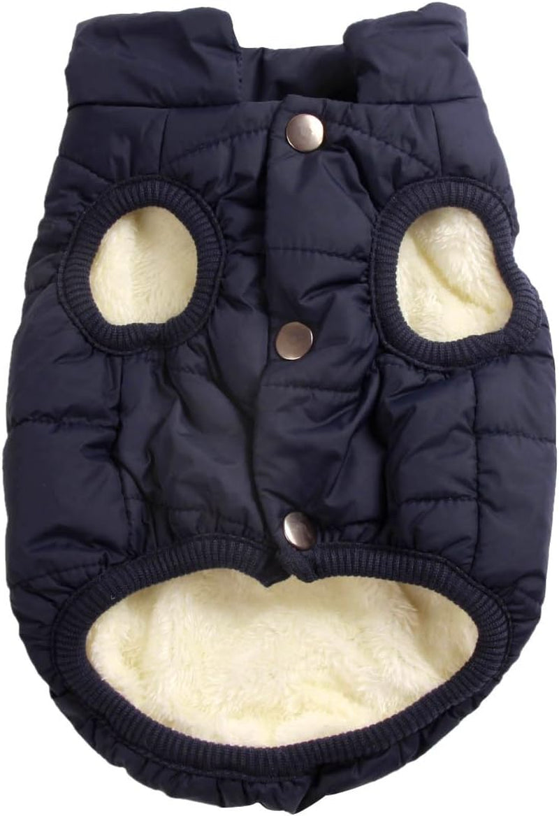 Windproof Dog Jacket for Puppy