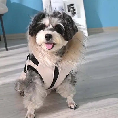 Pet Dog Hooded Jacket 