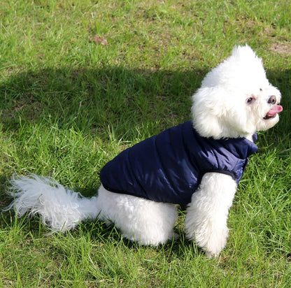 Windproof Dog Jacket for Puppy